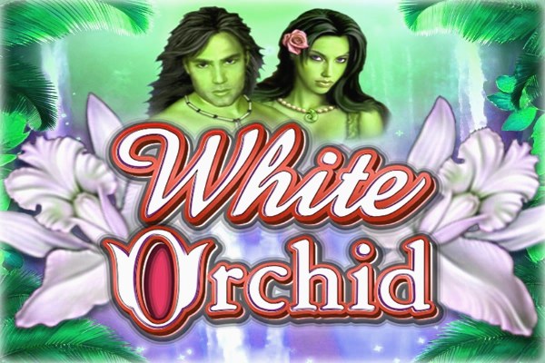 White Orchid Demo Slot
